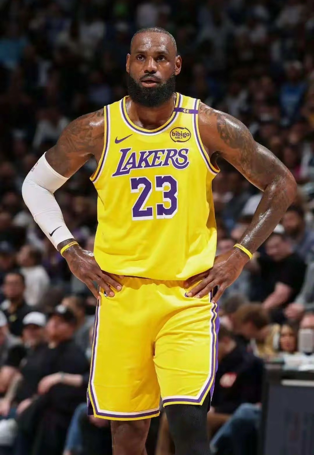 开云体育最新网址-2025亚冠赛程时间表