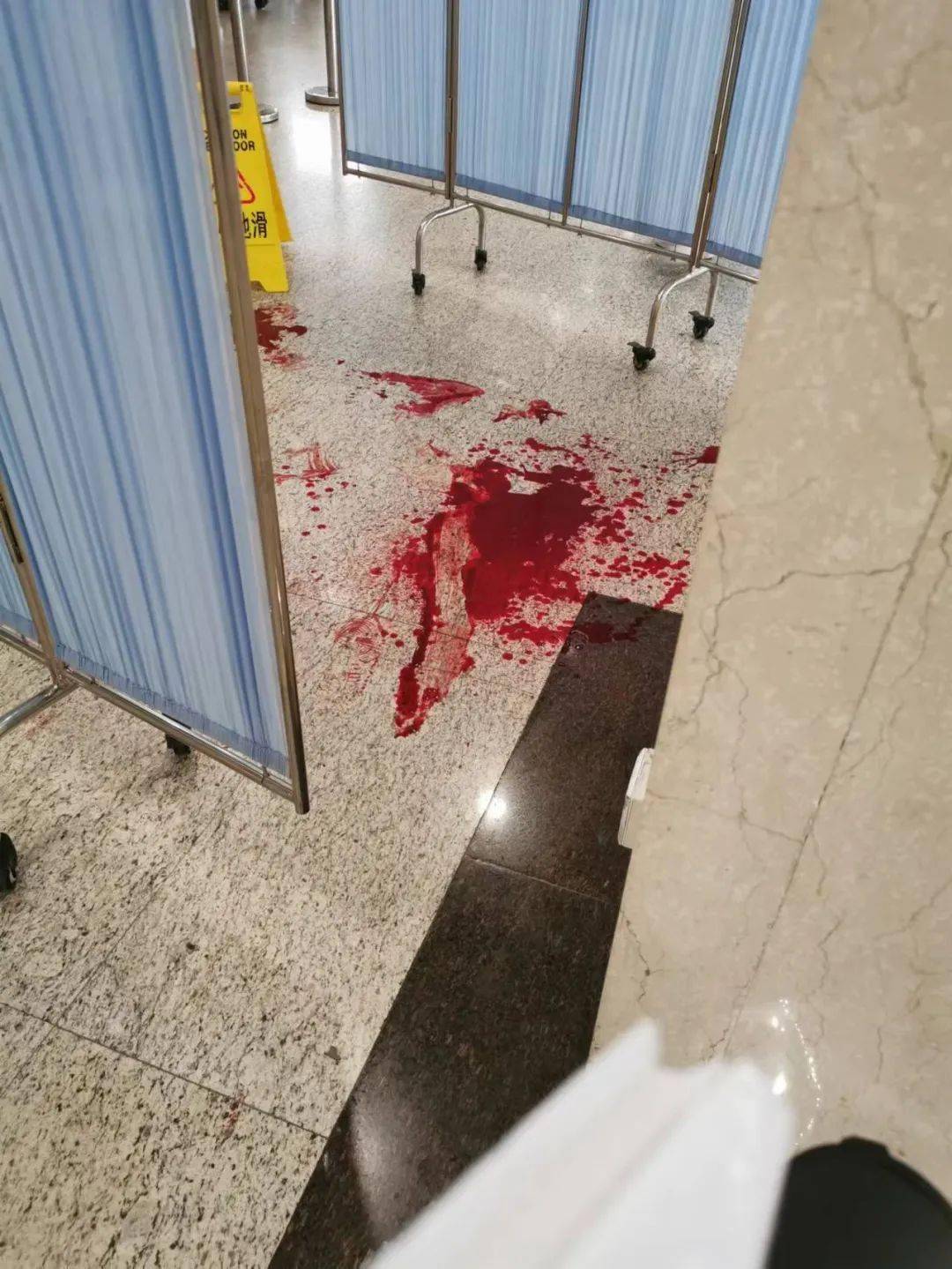 kaiyun官网中国-包含里程碑夜广州队完成体检，意大利杯冲刺阶段刷纪录，气氛紧张，医务组通报恢复的词条